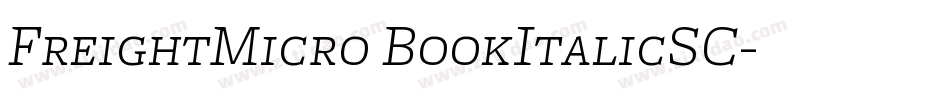 FreightMicro BookItalicSC字体转换